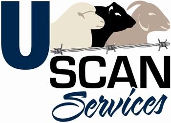 U Scan Services Logo